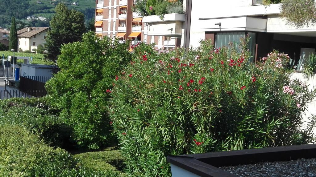 Camere Bolzano Da Glauco Exterior foto